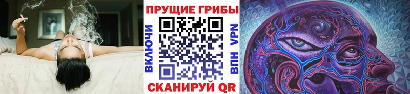 Псилоцибиновые грибы Psilocybine cubensis Темрюк