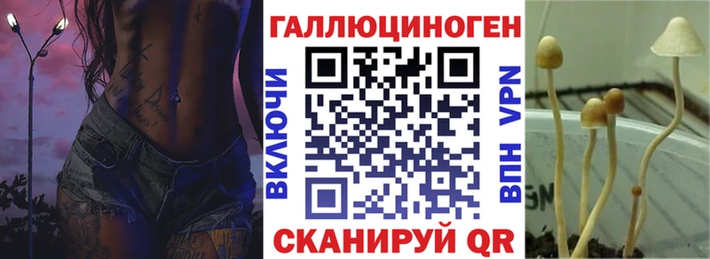 Псилоцибиновые грибы мухоморы  кракен ТОР  Темрюк  хочу  