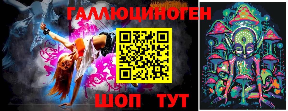 Псилоцибиновые грибы Psilocybine cubensis Темрюк